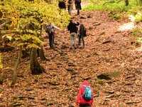 Zloty Lisc 2021 (40)